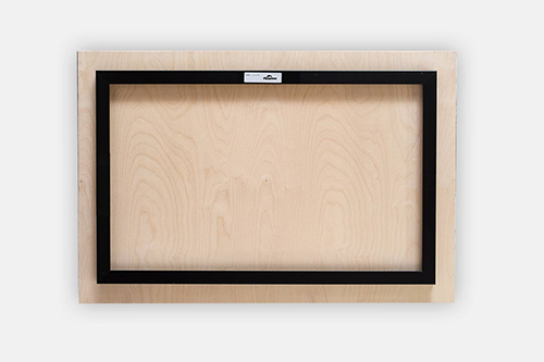 Bald Eagle Metal print