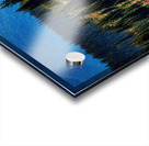 Mountain Wild Flowers Acrylic print