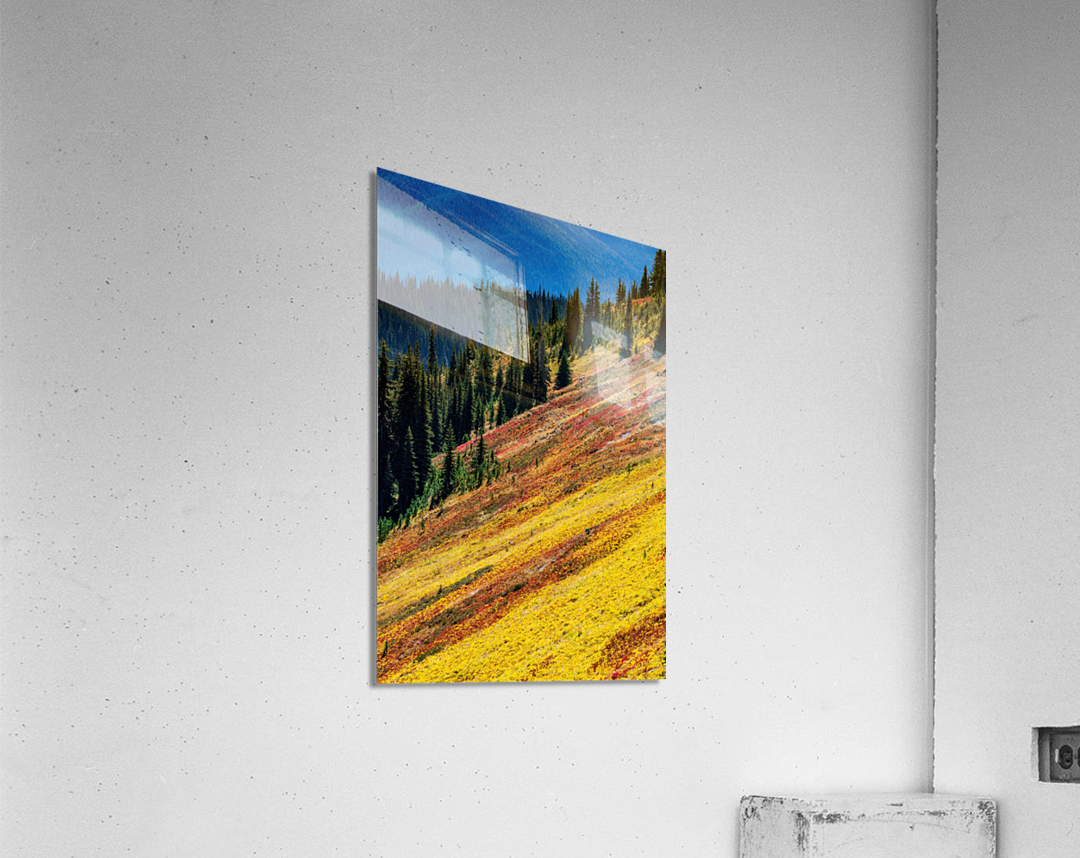 Mountain Wild Flowers Acrylic Print