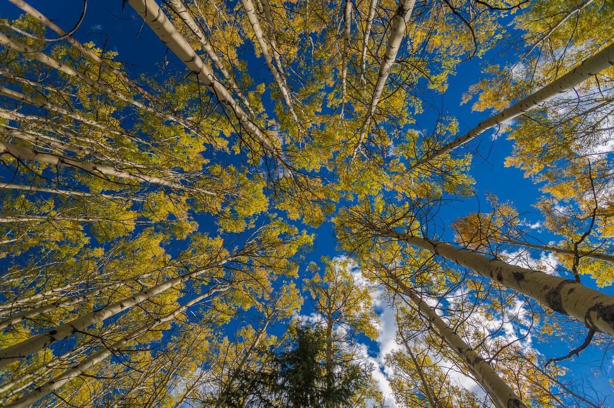 Impression de cadre personnalisé