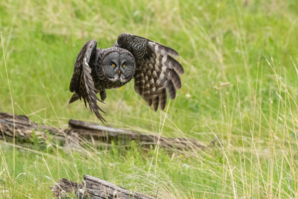 Impression de cadre personnalisé