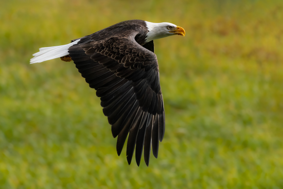 Impression de cadre personnalisé