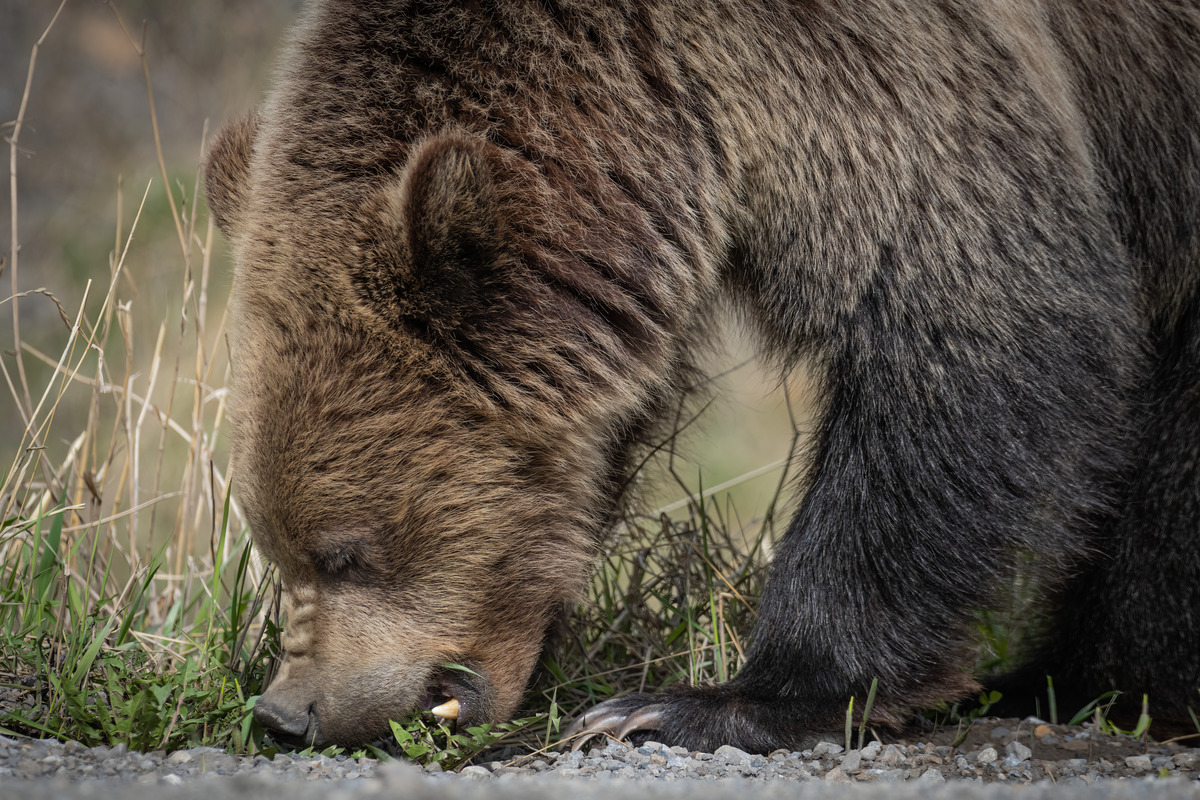 Impression de cadre personnalisé