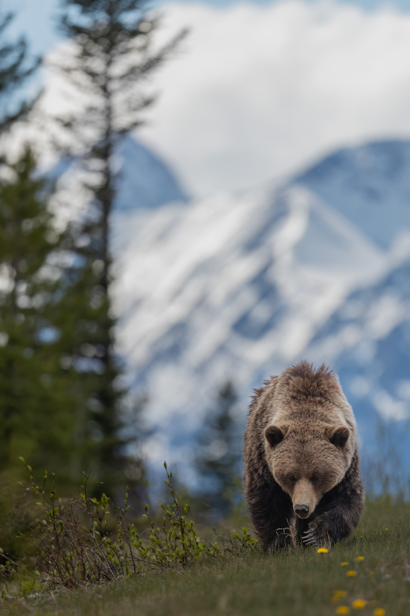 Impression de cadre personnalisé