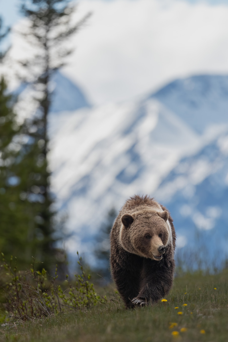 Impression de cadre personnalisé