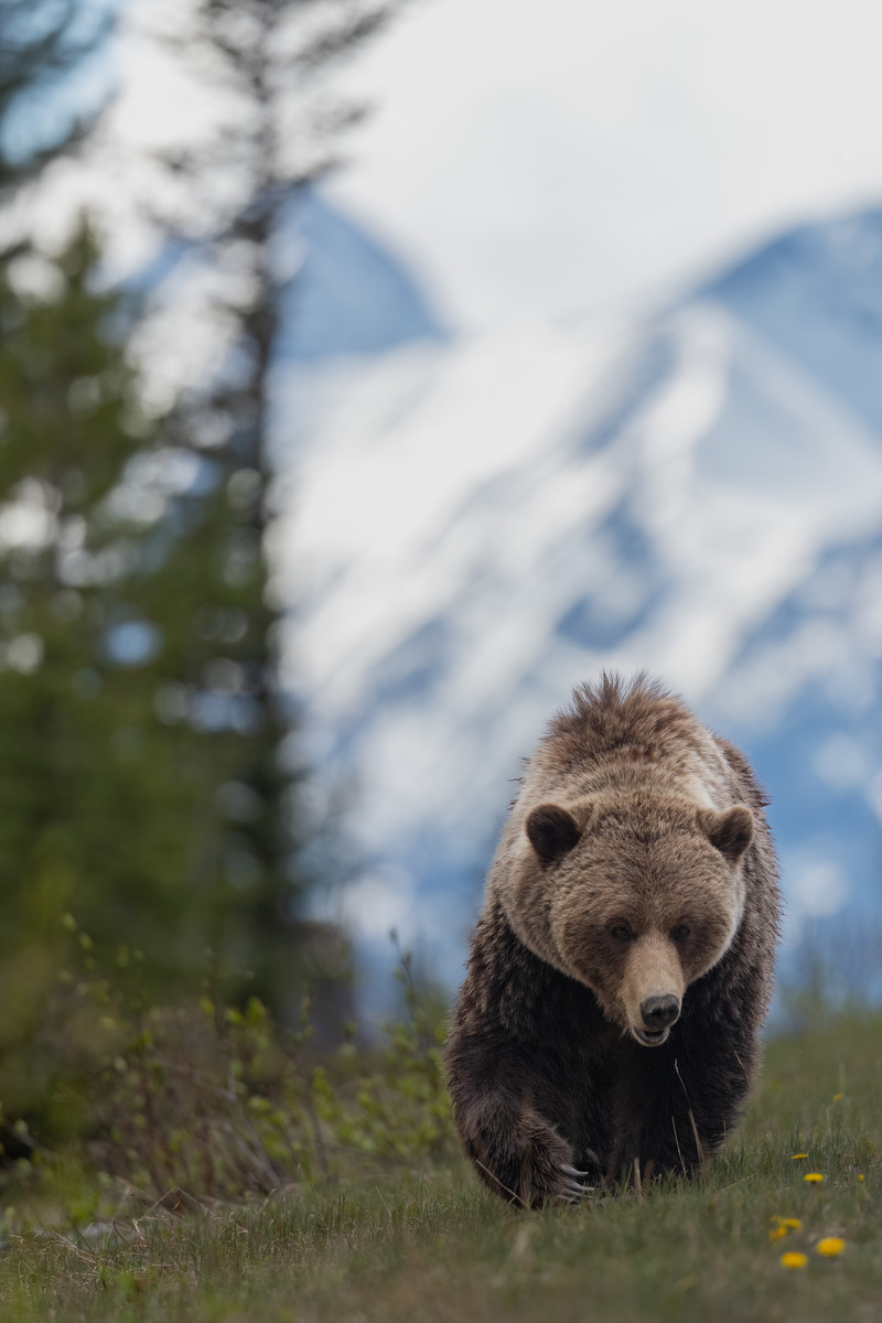 Impression de cadre personnalisé