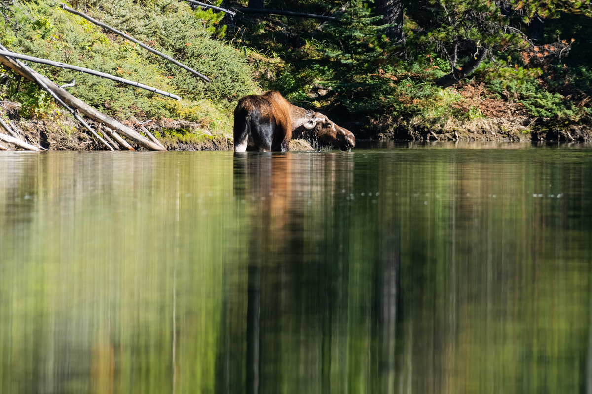 Impression de cadre personnalisé