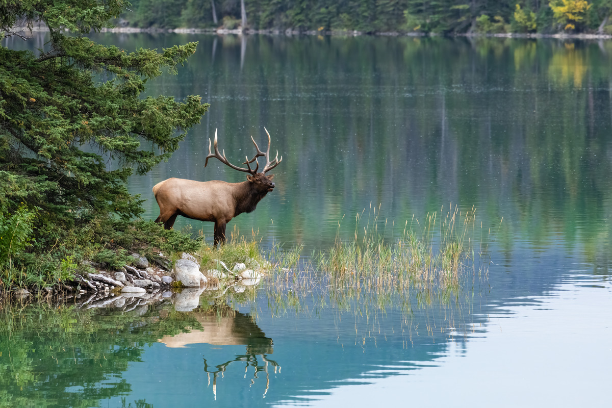 Impression de cadre personnalisé