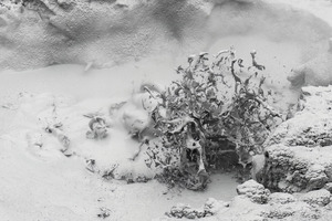 Thermal Mud Eruption