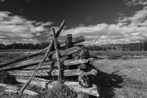 Old Fences