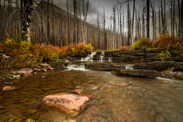 Mountain Stream Print