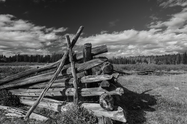 Old Fences Print