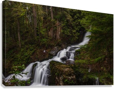 Forest Waterfall Canvas Print