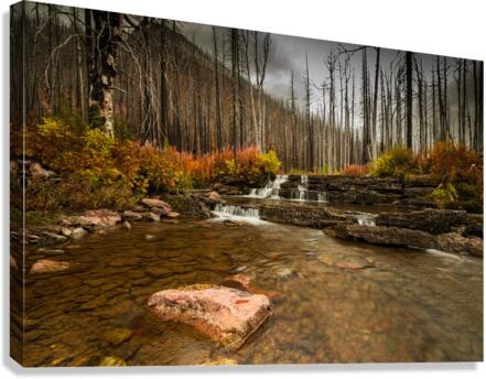 Mountain Stream Canvas Print