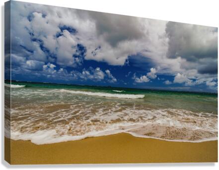 Tropical Shoreline Canvas Print