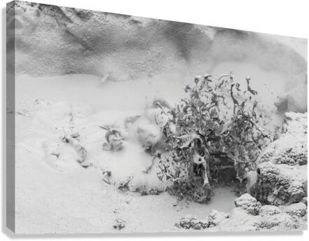 Thermal Mud Eruption Canvas Print