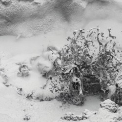 Thermal Mud Eruption