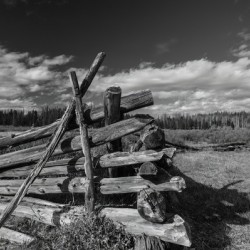 Old Fences