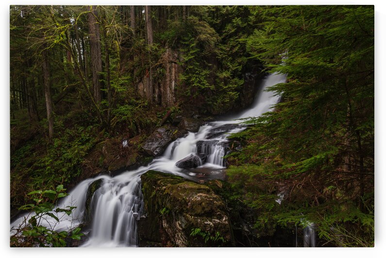 Forest Waterfall by Randy Tremblay Photography