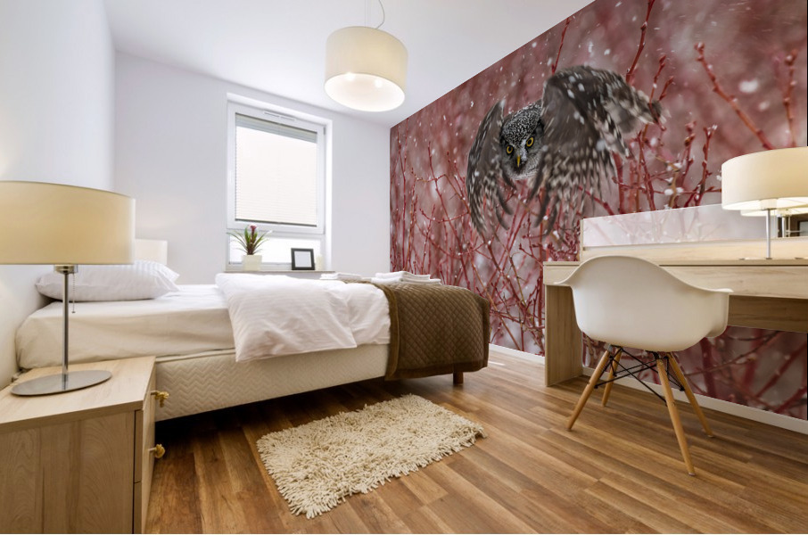 Northern Hawk Owl Mural print