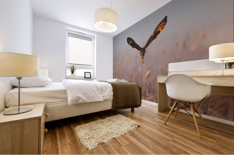 Short-eared Owl Mural print