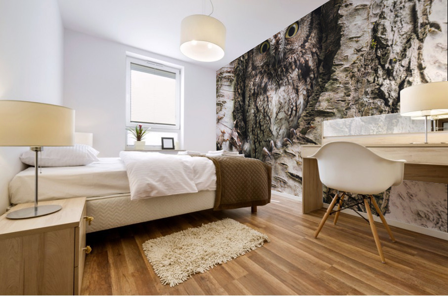 Western Screech Owl Mural print