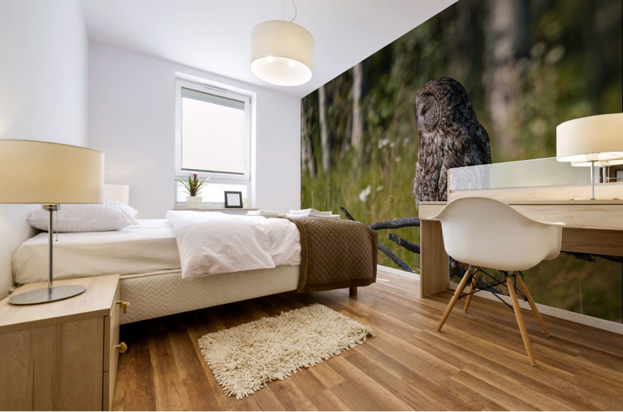 Great Gray Owl Mural print