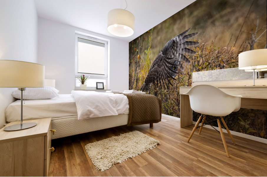 Great Gray Owl Mural print