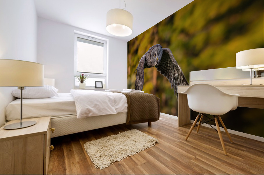 Great Gray Owl Mural print