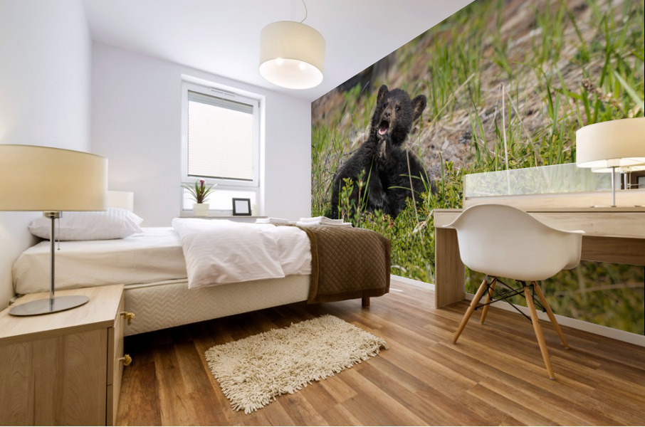 Black Bear Cubs Mural print