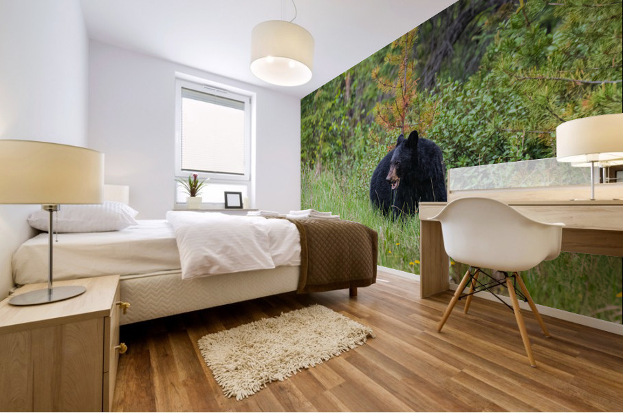 Black Bear Mural print