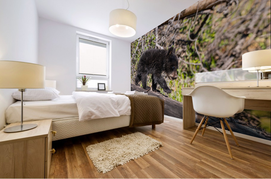 Black Bear Cub Mural print