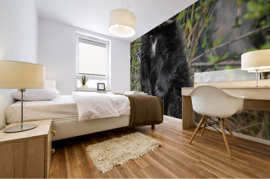 Black Bear Cub Mural print