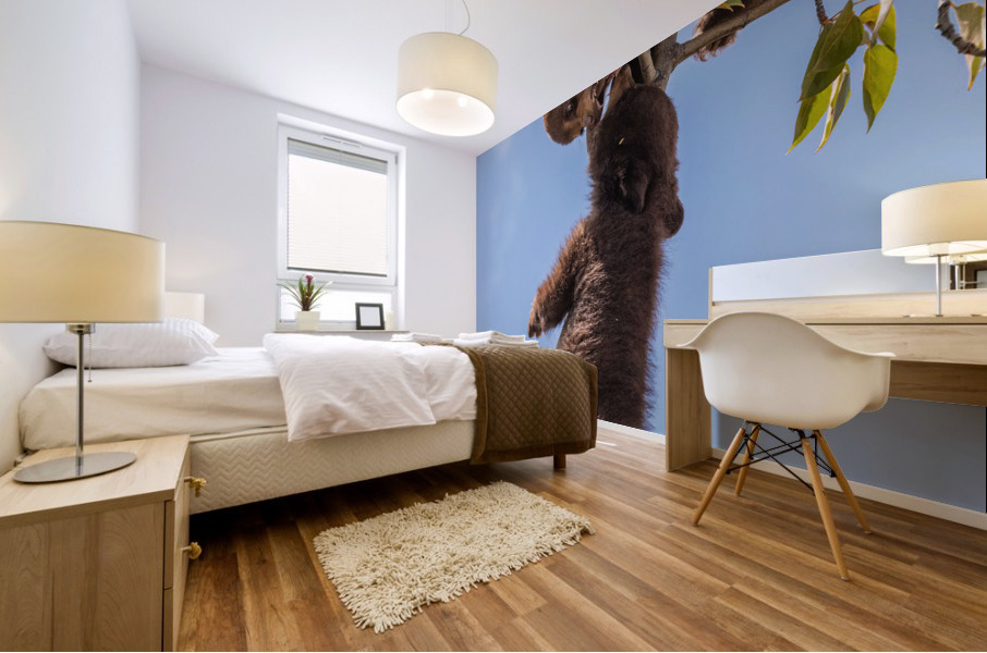 Black Bear Cubs Mural print