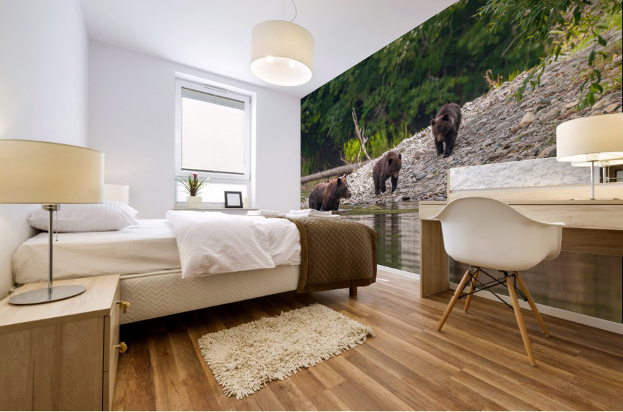 Grizzly Sow with Cubs Mural print