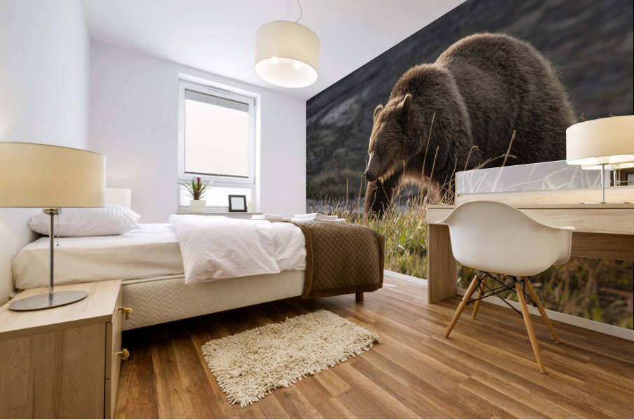 Grizzly Sow Mural print