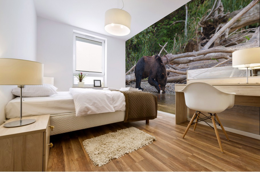 Grizzly Sow Mural print