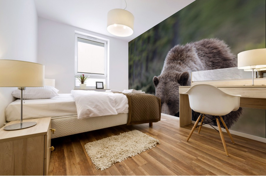 Grizzly Boar Mural print