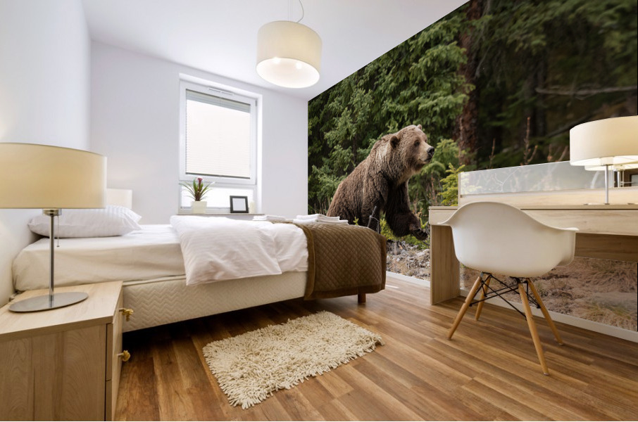 Grizzly Boar Mural print