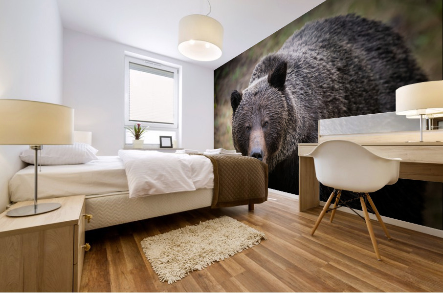 Grizzly Boar Mural print