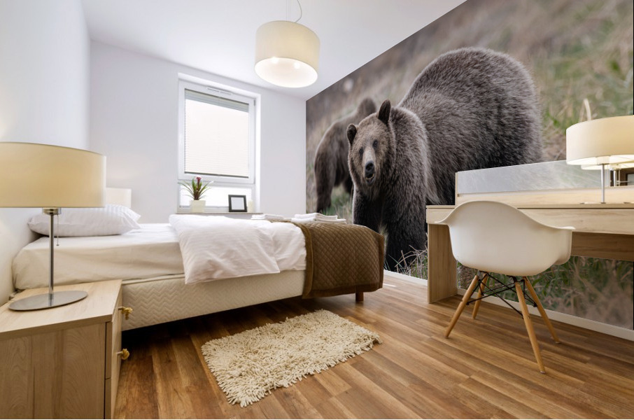 Grizzly Siblings Mural print