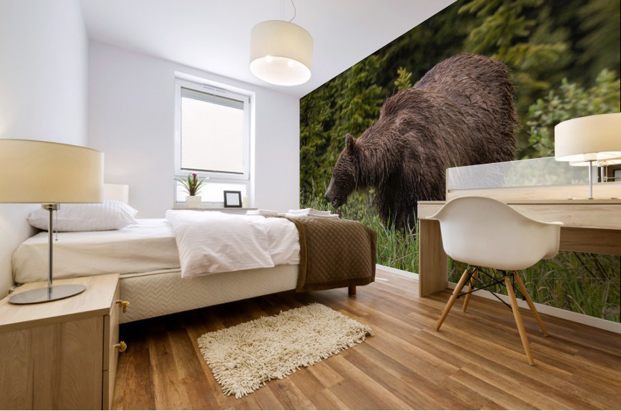 Grizzly Sow Mural print