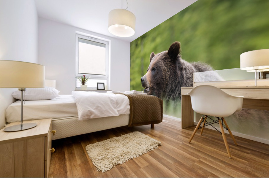 Grizzly Boar Mural print