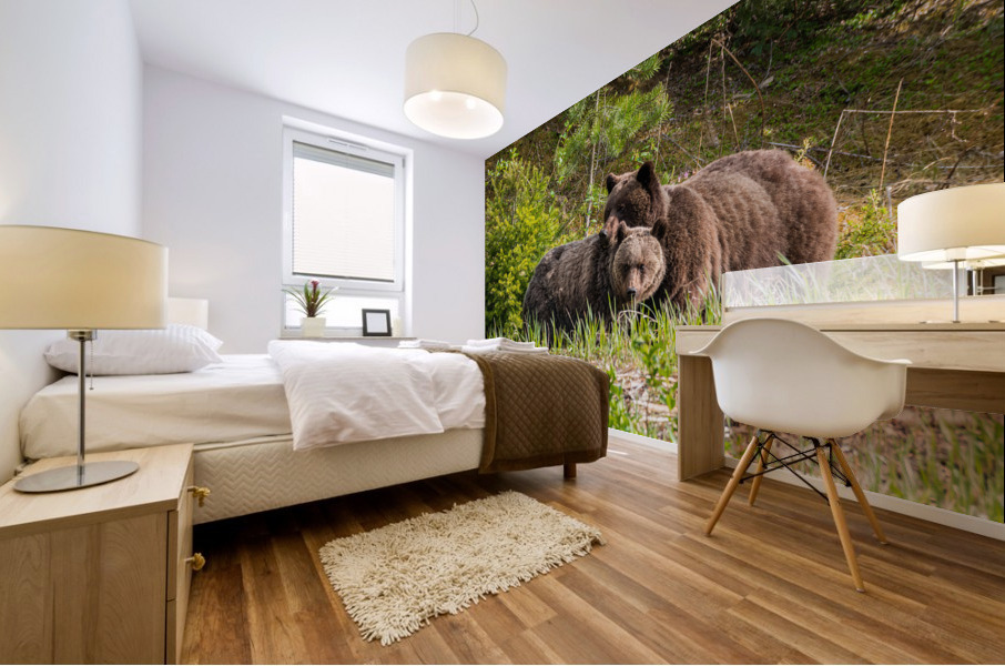 Grizzly Sow with Cub Mural print