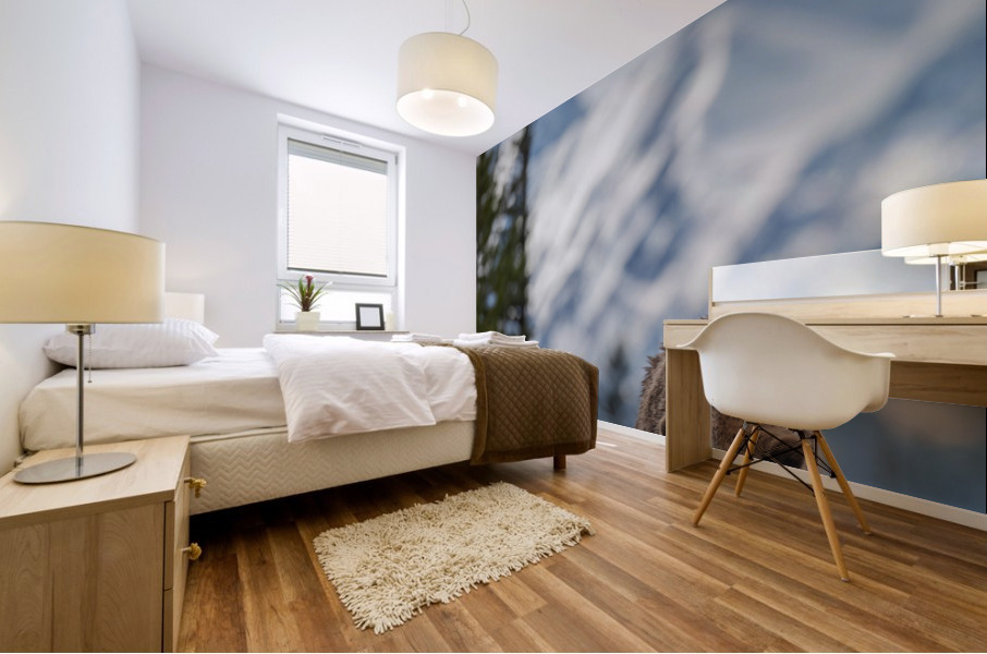 Grizzly Boar Mural print