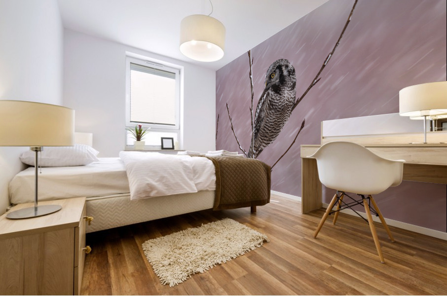 Northern Hawk Owl Mural print