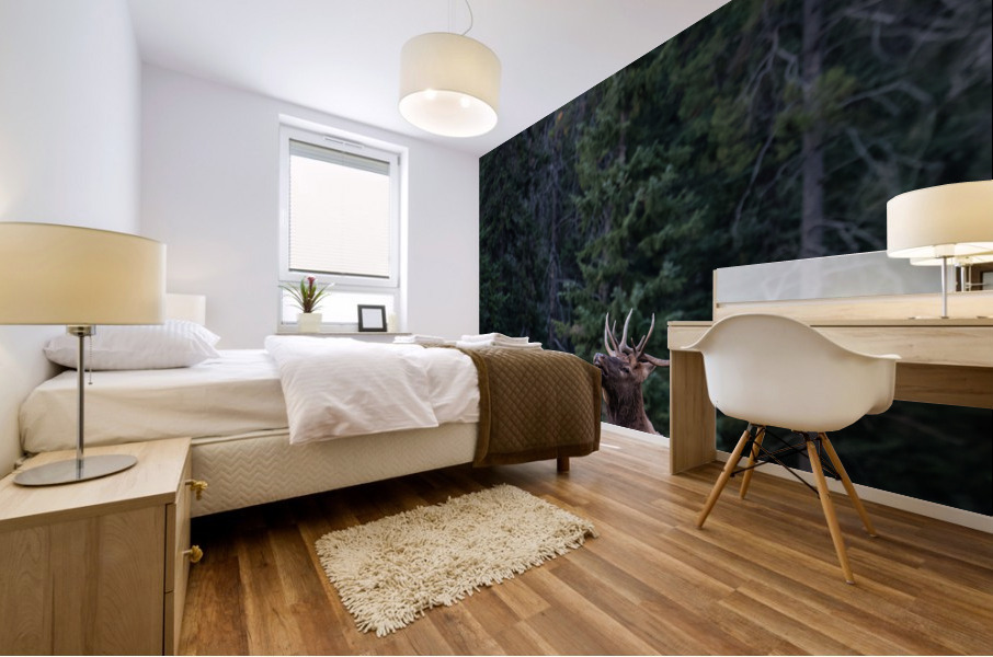 Bull Elk Mural print