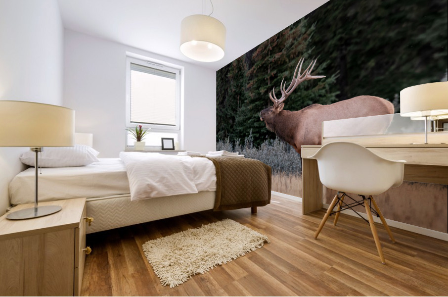Bull Elk Mural print