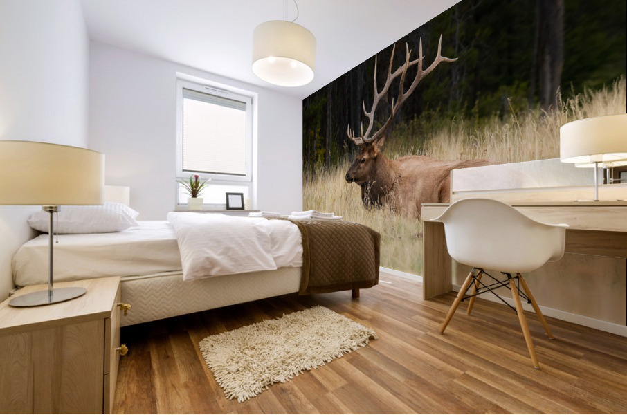 Bull Elk Mural print