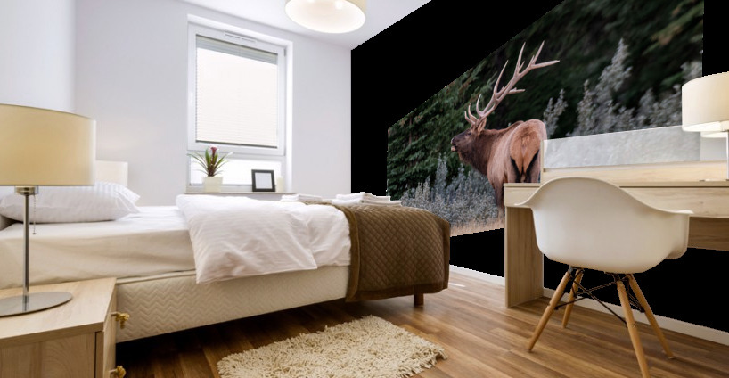 Bull Elk Mural print